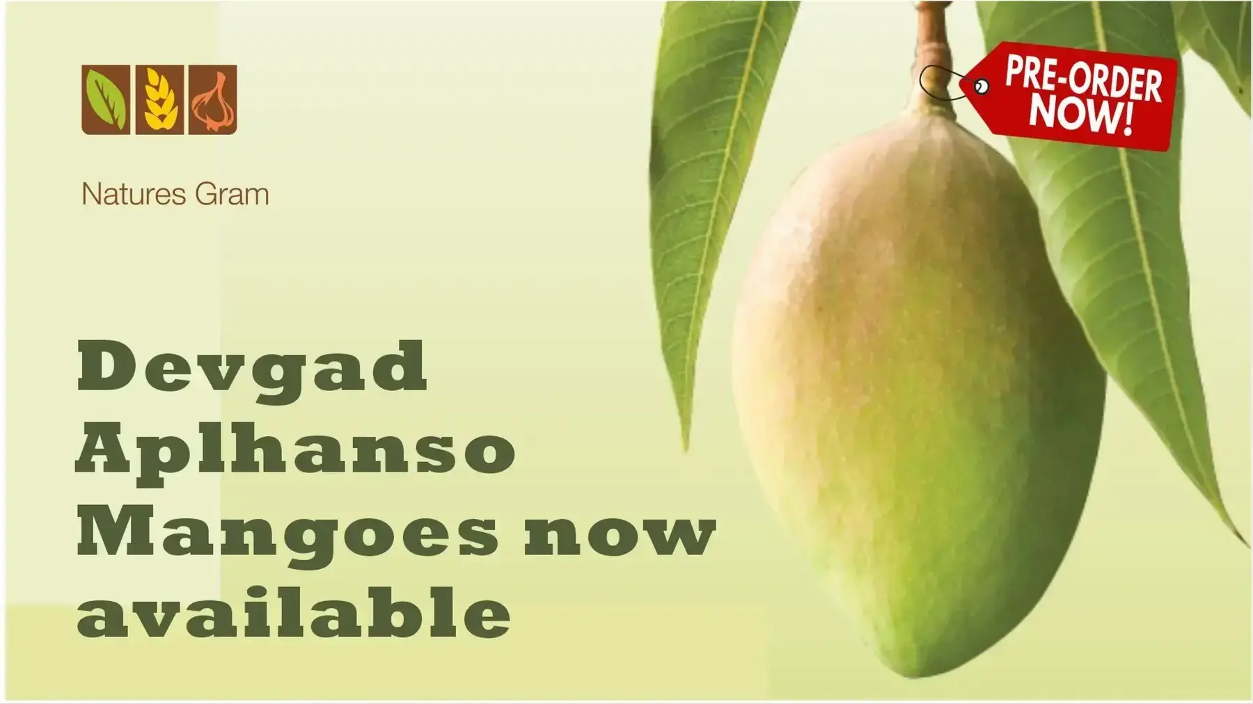 Main Banner Image 1